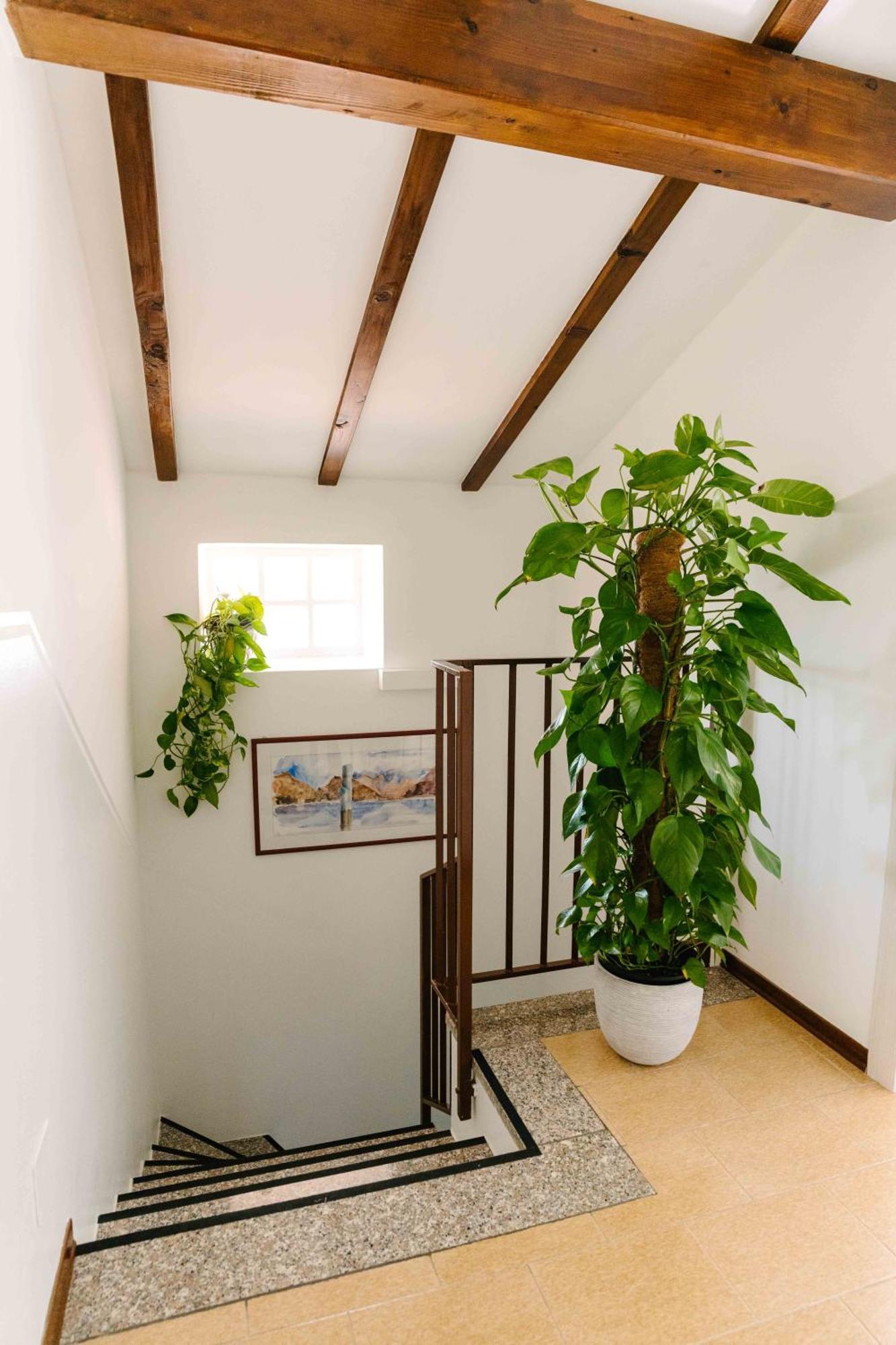 B&B Spina Verde Комо Екстериор снимка